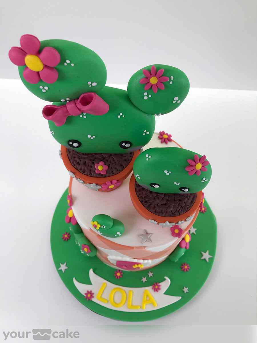 Tarta cactus - Foto Mini 4