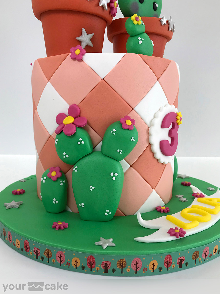 Tarta cactus - Foto Mini 5