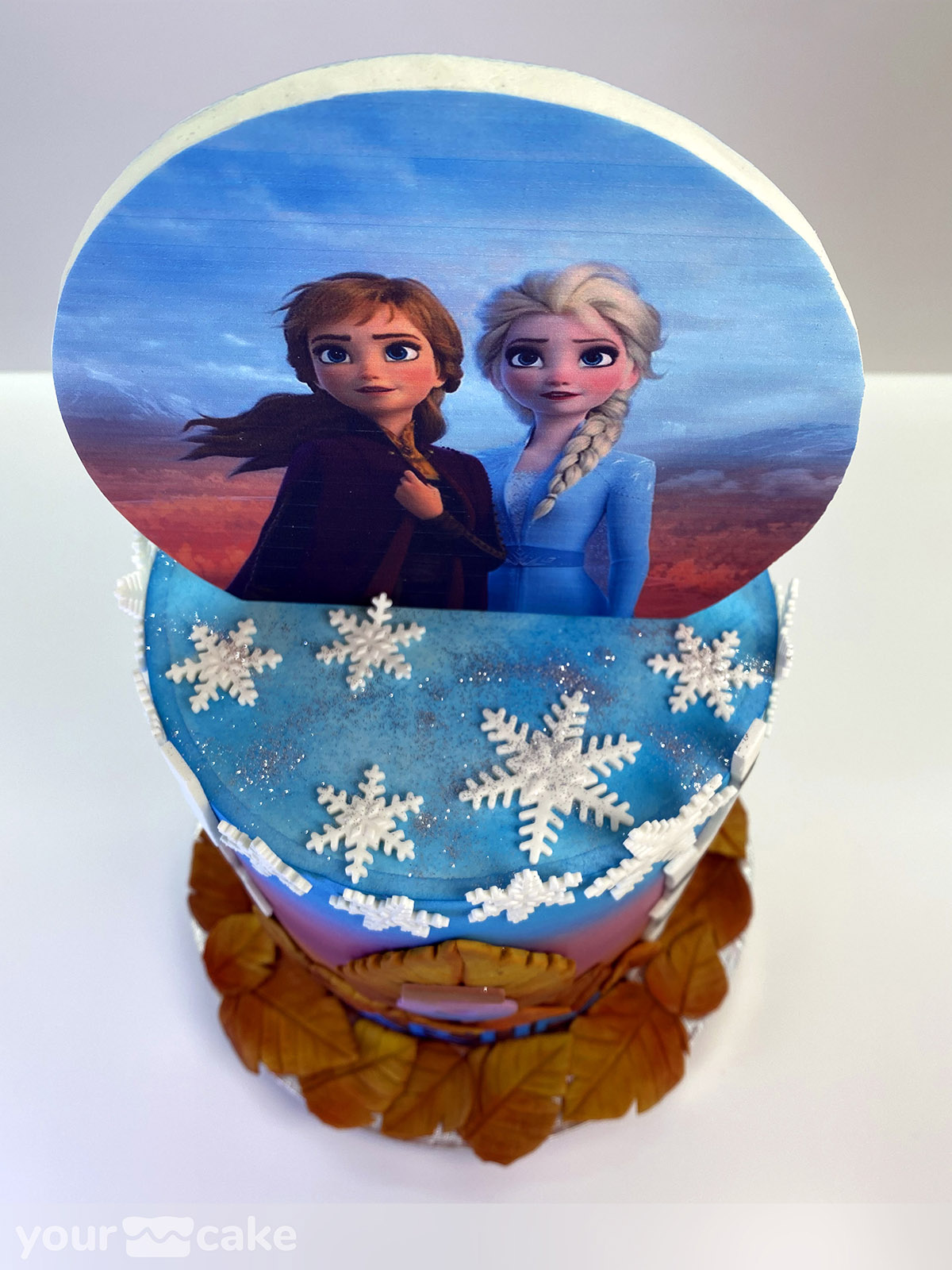 Tarta Frozen 2 - Foto Mini 4